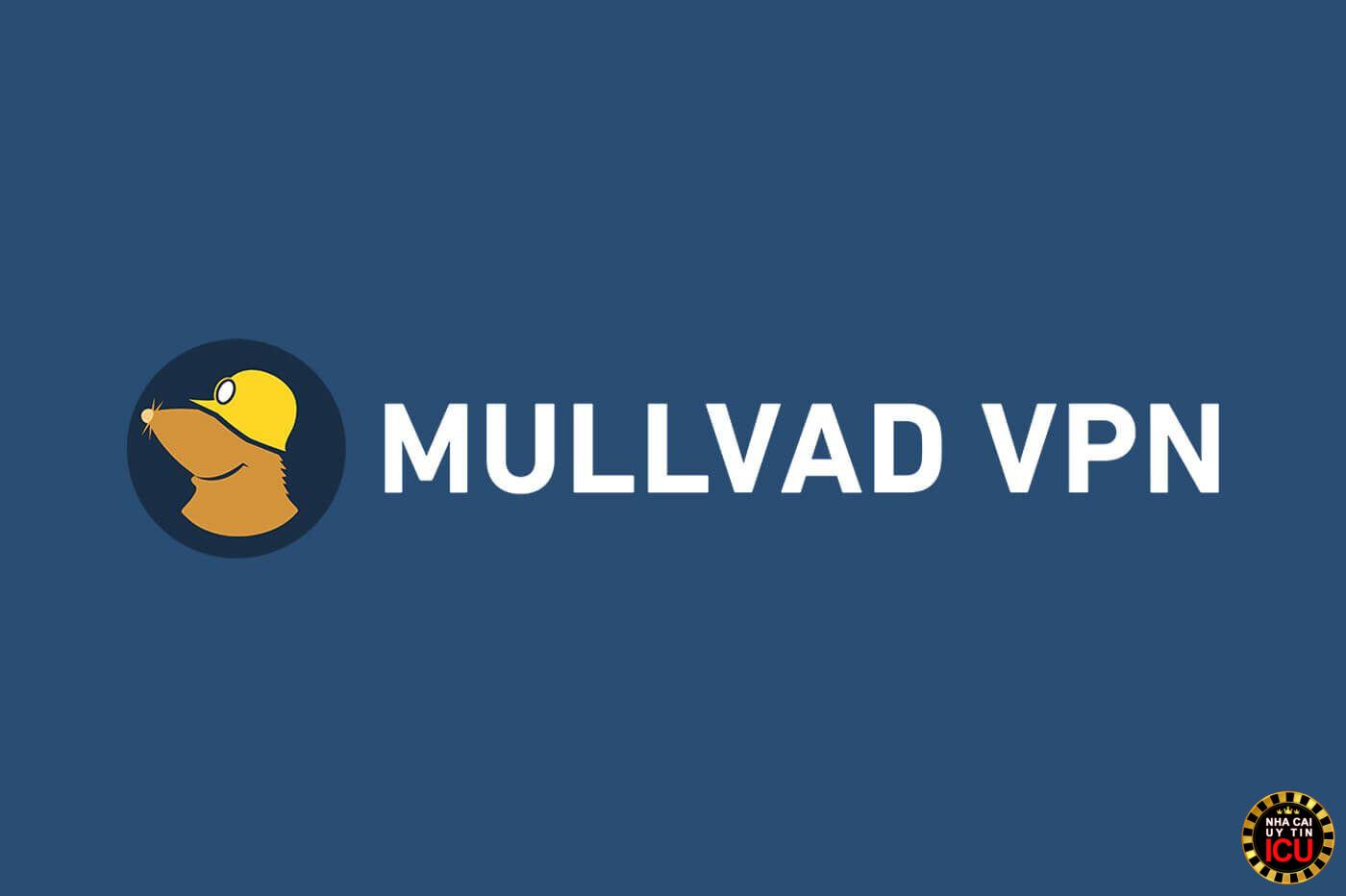 Khám phá cách hoạt động của phần mềm Mullvad VPN